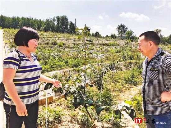 石柱县水土保持管理站站长龙海燕 为碧水青山奉献青春